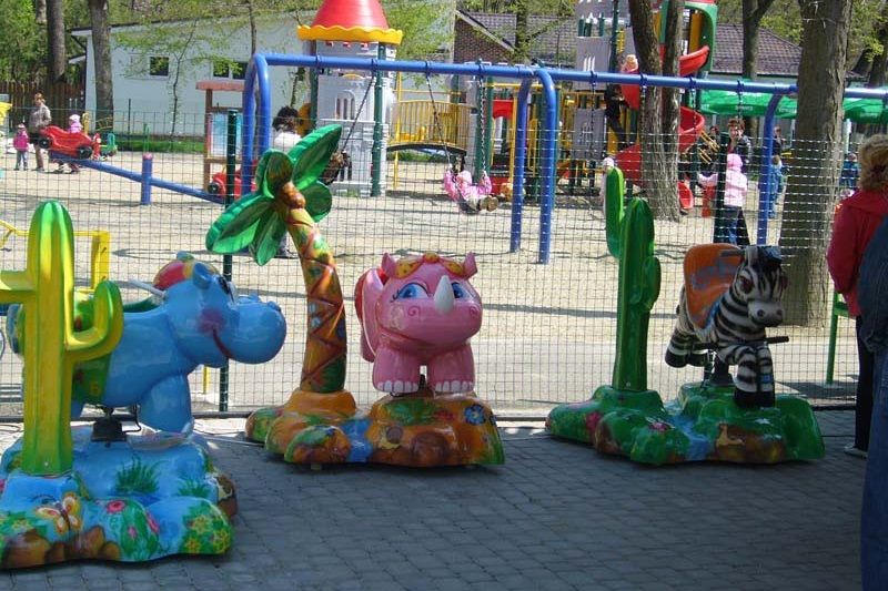 children's playset.jpg