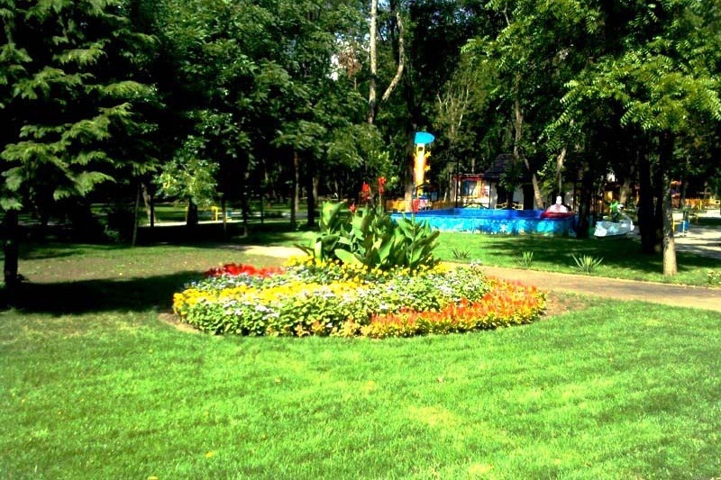 flowerbed.jpg