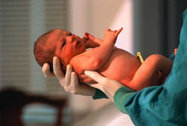 Over 8 thousand babies have been born in Krasnodar since the start of the year