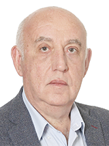 Vyacheslav Y. Burenok